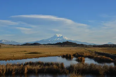 DSC_5997 (Large).JPG